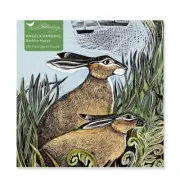 Adult Jigsaw Puzzle Angela Harding Rathlin Hares 500 Pieces Bunny Rabbit NEW
