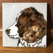 Springer Spaniel, Liver - Hand Painted Tile by Pumpkin Tile - 6 x 6" - Chelsea