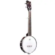 Melodic 5 String Banjo Beginner Music Instrument