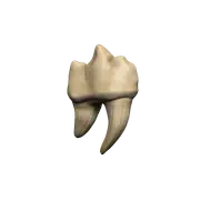 Dungeons & Dragons Teeth of Dahlver-Nar Bite-Sized Artifact