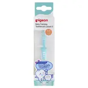 Pigeon Training Toothbrush Step 2