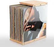 Vinyl Record Storage Box - Portable Vinyl Storage Organizer for 40 LPs, Dustproof Sturdy Design, Stylish Decorative Solution for Collectors Music Enthusiasts