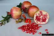 Pomegranate Elcite Tree - Punica granatum