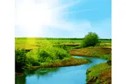 The Plain River Wall Murals Wallpaper Murals Self-adhesive Vinyl