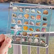 [Aannoel] Acrylic Seashell Display Box,Portable Display Box,36 Grids Diamond Gemstone Beads Storage Display Organizer Box,Clear Mini Seashell Storage Box