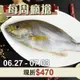 台東太平洋黑潮-黃雞魚5尾組(300gx2、325gx2、350gx1)