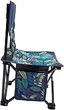 ANDRESLAD Outdoor Portable Folding Fishing Chair with Backrest Lightweight Camping Stool Compact and Design for Beach Picnic and Outdoor Activities with Carry Bag Random Color