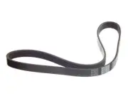 Multi Rib Belt For 2015-2020 Honda Fit 2016 2017 2018 2019 RM831CF (for: Honda)