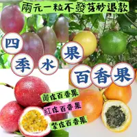 在飛比找蝦皮購物優惠-🍁💥【蝦皮熱銷】百香果種子 四季水果 台灣滿天星 黃金百香果