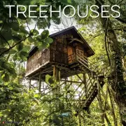 Treehouses Monthly 2025 Wall Calendar (12" x 12")