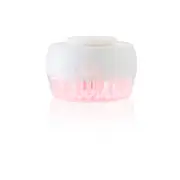 OXX LED Scalp Brush - White