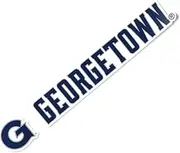 Desert Cactus Georgetown University Sticker Hoyas GU Name Logo Vinyl Decal Laptop Water Bottle Car Scrapbook (8 Inch Sticker Version B)