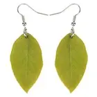 Acrylic Plant Leaf Earrings - Long Drop Novelty Ear Studs Women's Jewelry 1 Pair