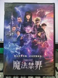 在飛比找Yahoo!奇摩拍賣優惠-挖寶二手片-Y33-499-正版DVD-電影【魔法禁界】-蒂