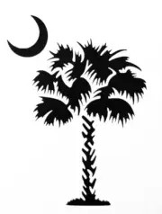 7x4 Inch Sturdy & Reusable South Carolina Palmetto Moon Palm Tree Stencil