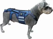 Coodeo Dog Back Brace for Dogs Arthritis, Pet Back Bracer for IVDD, Back Protector Helps Pain Relief, Surgical Recovery and Rehabilitation, Dogs Back Disease Prevention. (Medium)