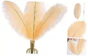 Ostrich Feathers 12pcs Large Natural Bulk 12-14Inch 12-14Inch-12pcs Champagne