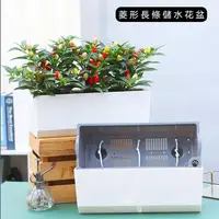 在飛比找momo購物網優惠-【品屋】菱形長條儲水花盆(種菜盆 大花盆 懶人花盆 塑膠盆 