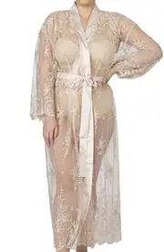 Rya Collection Darling Sheer Lace Robe in Champagne at Nordstrom, Size 1X