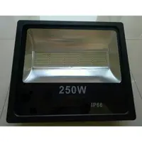 在飛比找蝦皮購物優惠-LED投射燈 250W LED天井燈 LED招牌燈 LED廣