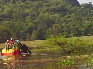 班都拉家庭旅館 - 錫吉里耶Bandula Homestay - Sigiriya