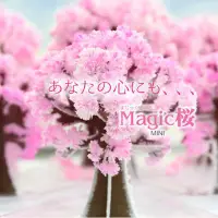在飛比找Yahoo!奇摩拍賣優惠-魔法櫻花 魔法櫻花在家中盛開 日本賞櫻 紙樹開花  魔法櫻花