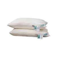 在飛比找樂天市場購物網優惠-紫羅蘭水之謎玻尿酸面膜枕護頸枕高回彈柔軟枕頭枕芯成人枕一只裝
