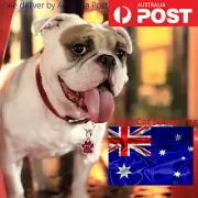 Custom Puppy Dog/Cat Red Tag Anti-lost Engraved Pet Dog Collar Personalized