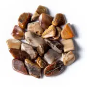 50g Tumbled Petrified Wood Gemstone Crystals 20-35 Stones Fossil Rock Specimens