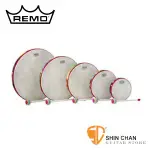 小新樂器館 | 手鼓▻ REMO KD-0500-01 兒童專用手鼓組【HAND DRUM】