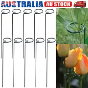 5/10x Metal Ring Plant Support Stake Frame Garden Climbing Trellis Flowers Stand