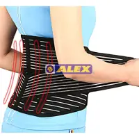 在飛比找momo購物網優惠-【ALEX】T-76人性化加強型護腰