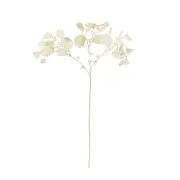 [James Lane] Eucalyptus Decor Cream Spray - 25cm x 12cm x 67cm