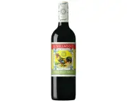 Il Villaggio Veneto Nero D'avola Organic 2022 (12 Bottles)