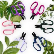 SAKAGEN Gardening Scissors Pruning Shears Flower Arranging Scissors F170 Japan
