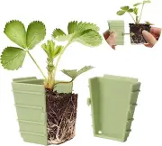 Green Bazzar Seed Starter Tray 10 Pieces Square 2.3'' Pots Reusable Gardening...
