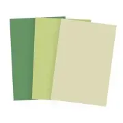 Natural Green Solid Color Roll-Up 2 Feet x 3 Highland, Spring Bud, Wheatfield
