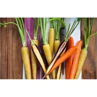 在飛比找蝦皮購物優惠-彩虹胡蘿蔔種子 胡蘿蔔種子 蘿蔔種子 蔬菜種子 (農產種子郵