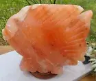 FISH SHAPE HIMALAYAN SALT TABLE LAMP PURIFIER ROCK NATURAL IONISER