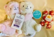 New Warmies Llama Hugs Care Package - Get Well Soon - Sympathy - Thinking Of You