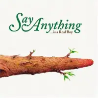 在飛比找博客來優惠-Say Anything / ...Is a Real Bo