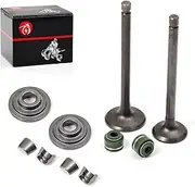 MOTO1988 Engine Valve Set Exhaust Valve Intake Valves For Honda XR100R XR80R CRF100F CRF80F NSF100 XL100S XL75 XL80S XR100 XR75 XR80 OEM 14711-152-000 14721-176-000