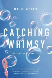 Catching Whimsy: 365 Days of Possibility Hardcover –2024 by Bob Go