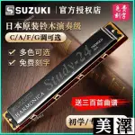 ✨日本 SUZUKI鈴木STUDY24孔口琴 複音24孔口琴 C/A/F/G調 金屬口琴 初學者口琴 民謠口