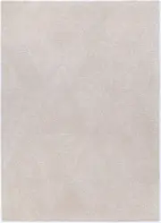 Loren Reflections 05 in Natural Wool Rug