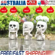 3D Skull Shape Flowerpot Funny Shape Indoor Table Planter Container for Home ZV