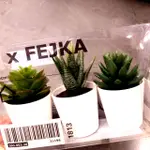 IKEA 人造盆栽 假花 景觀 植物 多肉 擺飾 拍攝道具 花盆