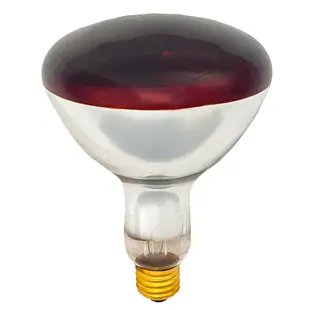 [喜萬年]紅外線燈泡 HEAT PLUS 250W 110V E27 加熱 溫熱燈具 保溫燈泡 車體美容 同飛利浦