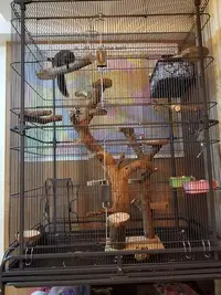 在飛比找Yahoo!奇摩拍賣優惠-松鼠龍貓攀爬樹樁踏板跳臺籠內造景蘋果木樹樁寵物玩具