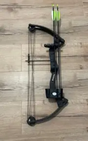 Compound Bow And 2 Arrows